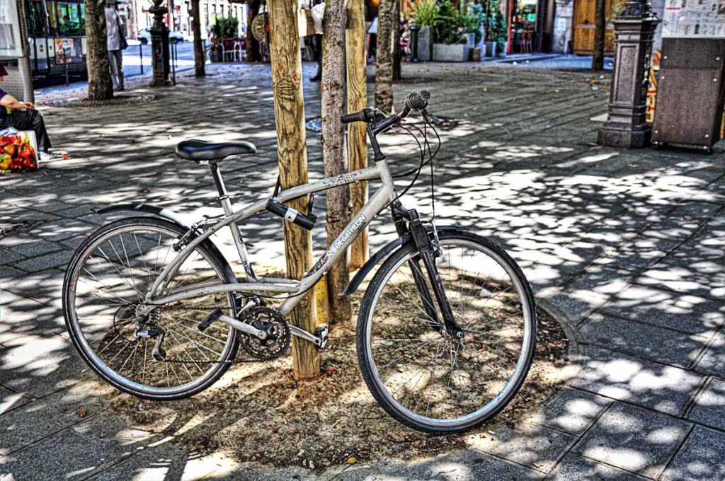 IMG_7350_1_2_tonemapped